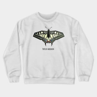 Papilio machaon swallowtail butterfly Crewneck Sweatshirt